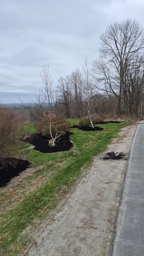 Tree & Shrub Care for Swansons Seasonal Services in Skowhegan, ME