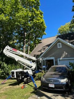 All Photos for Pro Tree Trim & Removal, Llc in Dayton, OH