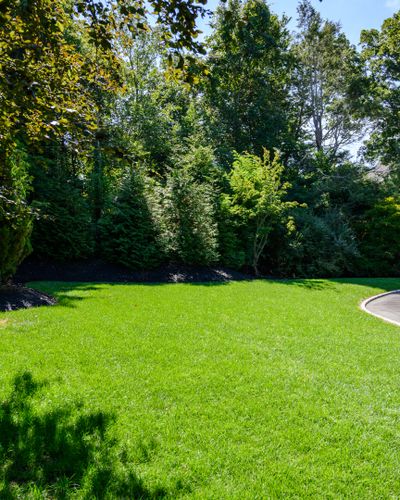 New Lawn Installation for Pungitore Landscapes, Irrigation & Fertilizer in Hingham, MA