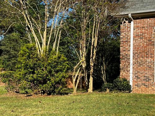 All Photos for Reg's Lawn Care Services in LaGrange, GA