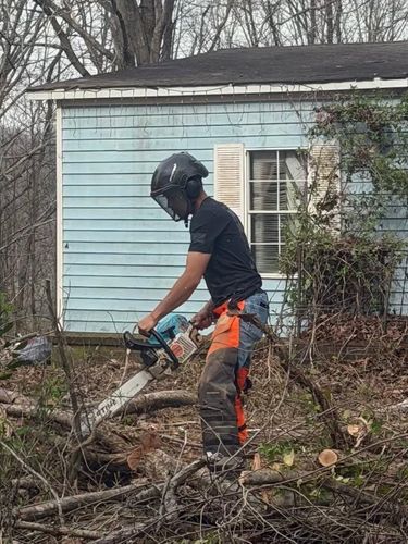 All Photos for Ramirez Tree Care in Elkin, NC