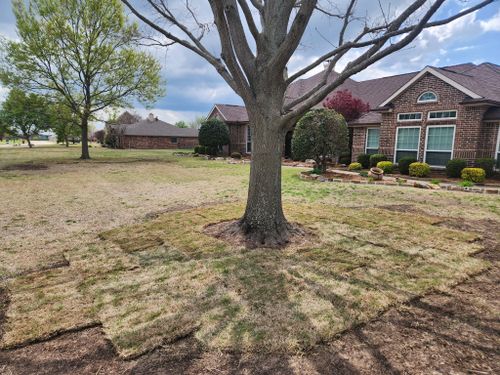 All Photos for Lavon Lawn Plus in Lavon, TX