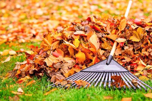 Fall and Spring Clean Up for Northern Lawn And Landscape  in Sebec, ME