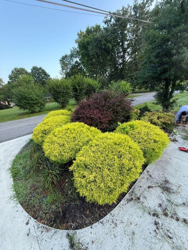  for Wesleys Landscaping in Clinton, TN