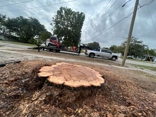 Stump Removal for McGraw’s Lawn and Tree Service in DeLand, FL