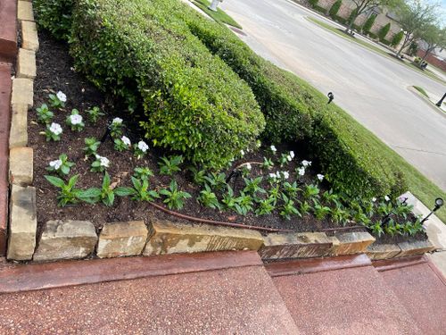 Seasonal color changes for Guerrero's Landscape in Fort Worth,  TX