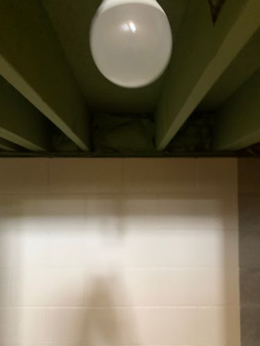  for Staib & Son Painting & Decorating Llc. in Jackson, MI