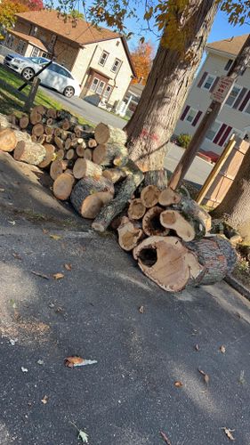 Tree Removal for G&M Property Service in Attleboro, MA