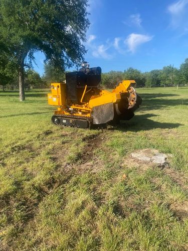 Stump Grinding for West Stump Grinding in Temple, TX