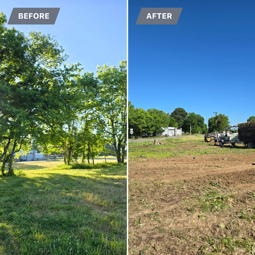 Tree Removal for Optimum Tree Service And Landscaping in Bowling Green, KY