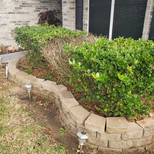 Fall and Spring Clean Up for T.W. Lawn Care in Pearland, TX
