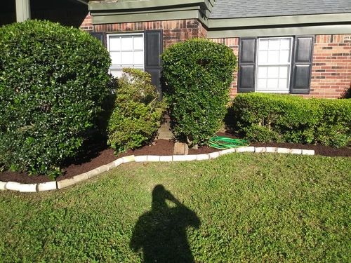  for The DUFF LAWN Service in Houston, Texas