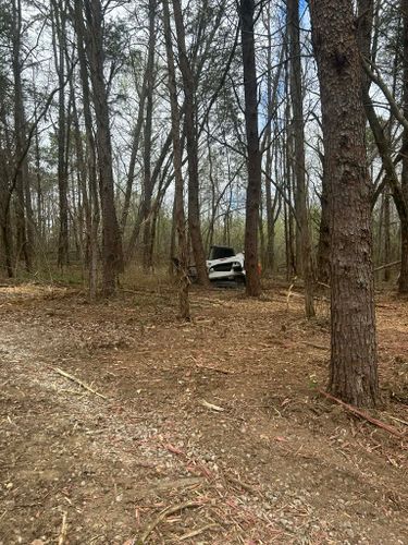  for Z's Land Management & Forestry Mulching in Smithville, TN