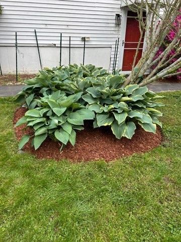  for D.S. Landscaping & Construction in Essex County, MA