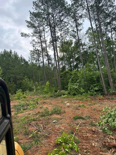 Mulching for A.P Land Management in Atlanta, Ga