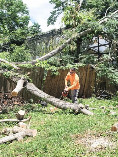 All Photos for Highlife Tree Care And Landscaping in Altamonte Springs, FL