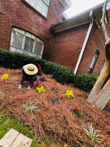  for Enhanced Landscape in Daphne, AL