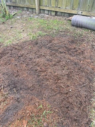  for KB’s Stump Removal in Pinellas county, FL
