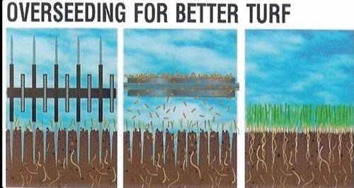 Lawn Aeration for B&L Management LLC in East Windsor, CT