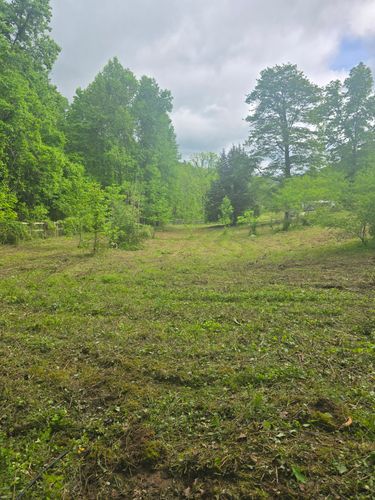  for Williams Lawn & Land in Sharps Chapel, TN