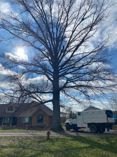 Fall and Spring Clean Up for Atwood’s Tree Care in Liberty,  KY