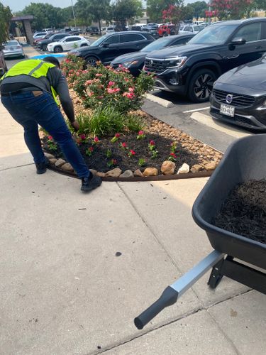 Commercial Landscaping for J and R Co. in San Antonio,  TX