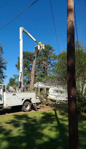  for Breaktime Tree Trimming & Removal in Oakdale, LA