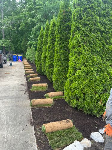 Landscaping for Optimum Tree Service And Landscaping in Bowling Green, KY