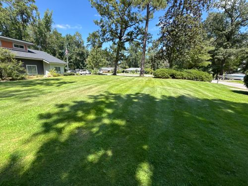  for Shang's Landscaping Service in Columbia, South Carolina