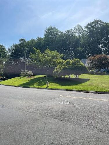 Full Landscape Redesign for Blades of Glory LLC in Cheshire, CT