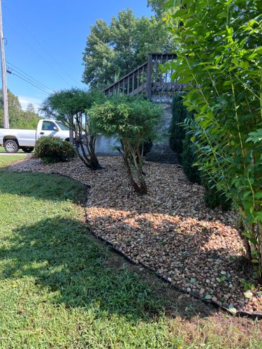  for Fescue 911 in Ashland City, TN