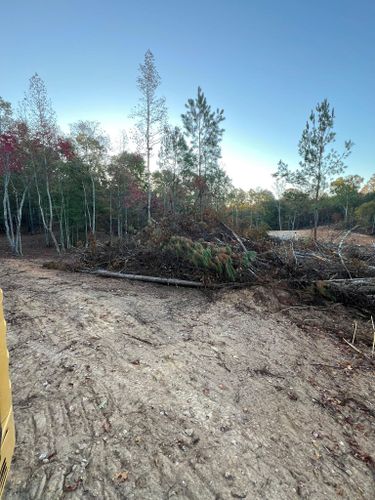  for Southern Roots Services in Carrollton, GA