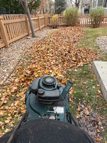 Fall & Spring Clean Up for Denver Bros Lawn Control in Denver, CO