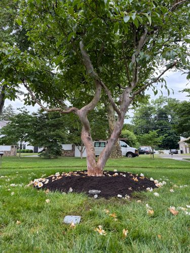 All Photos for Dimar Technology  in Norwalk, CT