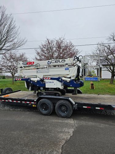 All Photos for AAA Tree Cutting in Shavertown, PA