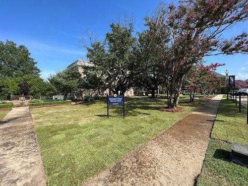  for Amis Lawn and Landscape, LLC in Clinton, MS