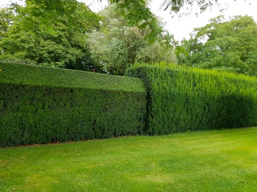 Shrub Trimming for Billiter's Tree Service, LLC in Rootstown, Ohio