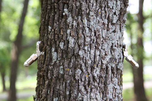 System Overview for Stonecreek Solutions in Commerce, TX