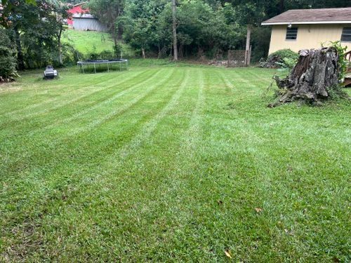 Lawn Maintenance for All-Star Lawn Care & Soft Washing in Mobile, AL