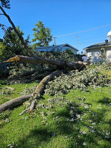  for Millers Tree Service in Saline County, AR
