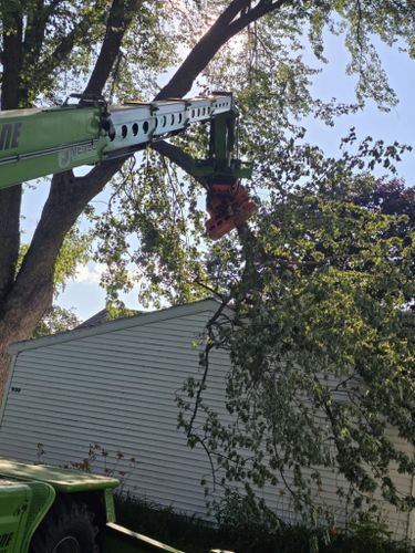  for Tree-B-Gone in Shawano, WI