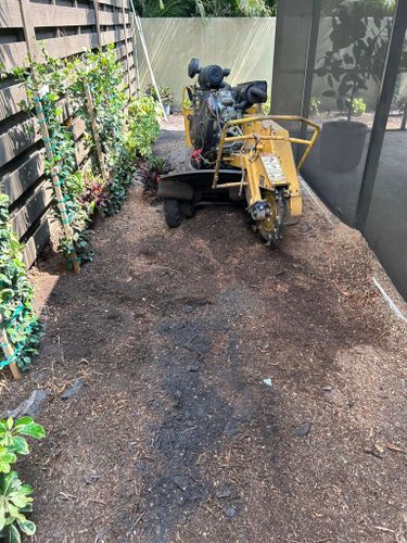  for Grizzly Stump Grinding in Sarasota, FL