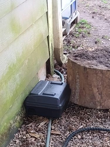 Mice for Winecoff Pest Control in Salisbury, NC