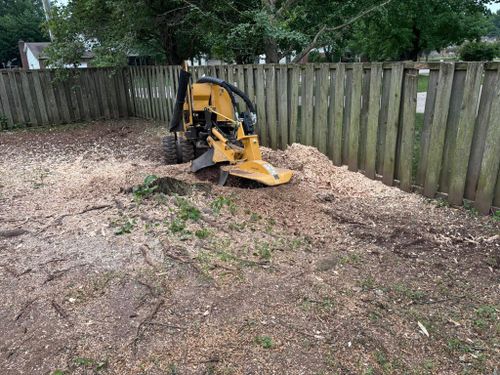 Stump Removal for Conrad's Stump Removal in Columbus, IN