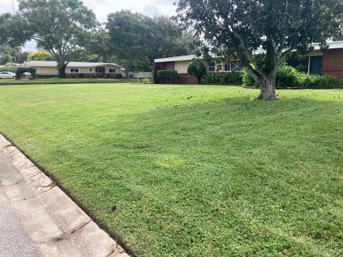 All Photos for Impressive Lawns 321 LLC in Titusville, FL