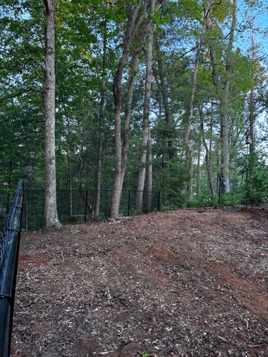 Chainlink Fences for Alpine Fence in Dahlonega, GA