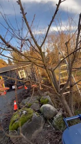  for Avenscapes NW, LLC in Getchell , WA