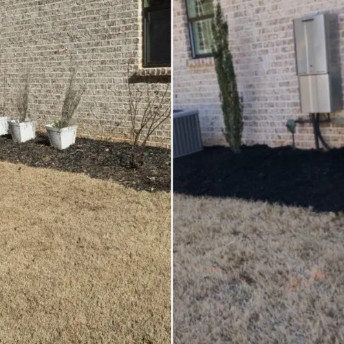 Fall Clean Up for Fresh Cut Yard & Lawn Care LLC in Forsyth, GA