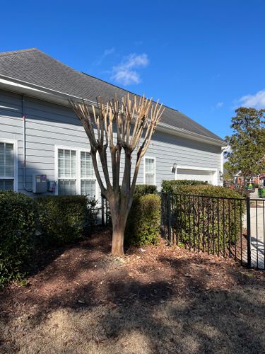 All Photos for New Creation Landscaping in Myrtle Beach, SC