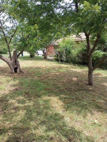 Mowing for Emergency Yard Care LLC in Waxahachie, TX